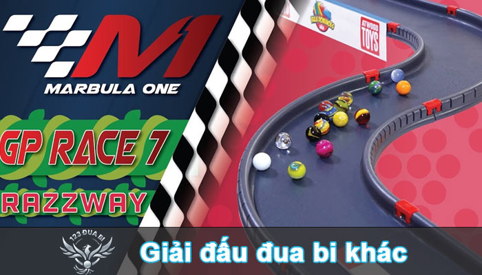 Sau những thành công ban đầu của 123 đua bi đã có những cộng đồng, giải đấu khác được dựng lên