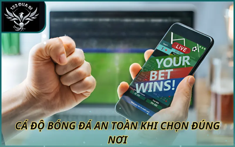 Hình ảnh Cá độ bóng đá an toàn chọn đúng nơi