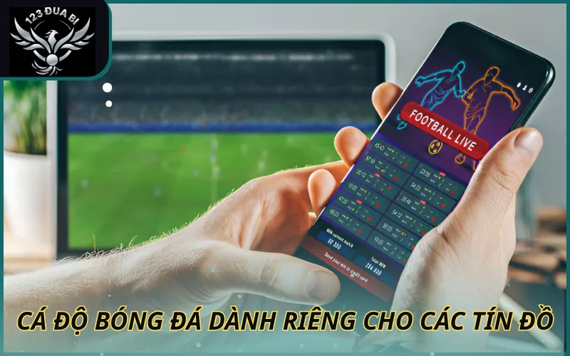 Hình ảnh cá độ bóng đá giành riêng cho các tín đồ