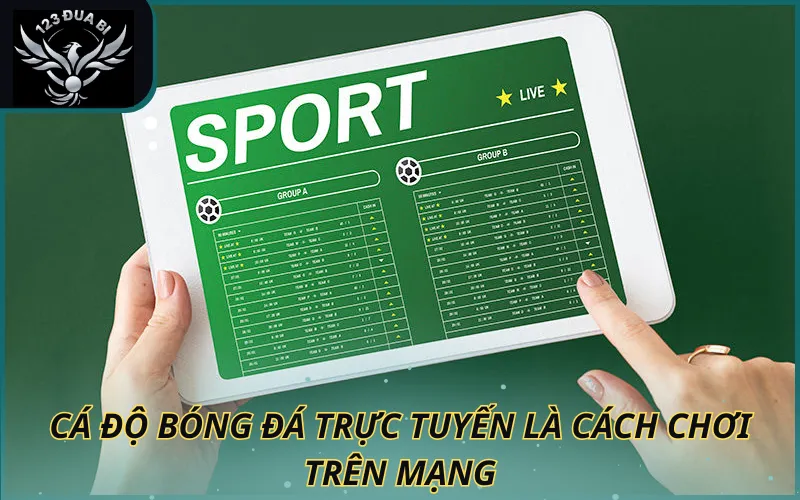 Hình ảnh Cá độ bóng đá trực tuyến là cách chơi trên mạng