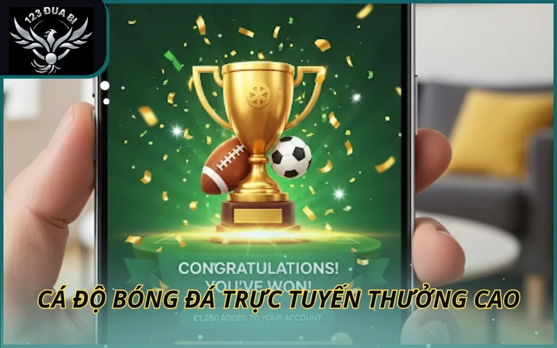 Hình ảnh Cá độ bóng đá trực tuyến thưởng cao