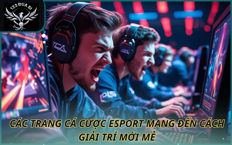 Hình ảnh các trang cá cược esport mang đến cách giải trí mới mẻ