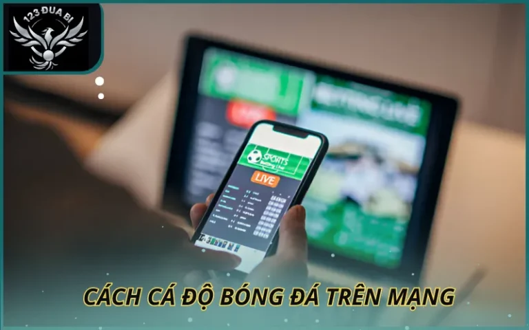 Hình ảnh Cách cá độ bóng đá trên mạng