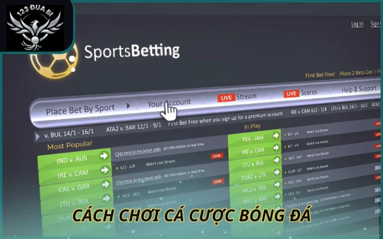 Hình ảnh cách chơi cá cược bóng đá