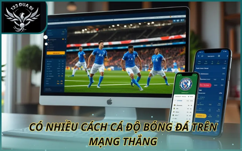 Hình ảnh Có nhiều cách cá độ bóng đá trên mạng thắng