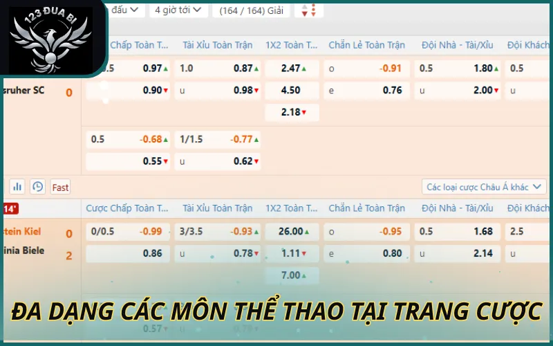 Hình ảnh Đa dạng các môn thể thao tại trang cá cược