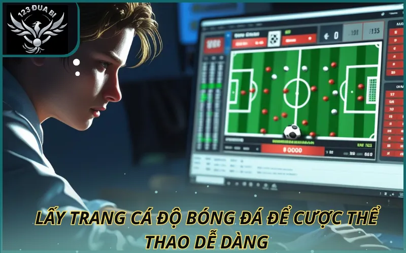 Hình ảnh Lấy trang cá độ để cược thể thao