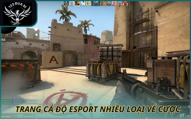 Hình ảnh Trang cá độ esport nhiều vé cược