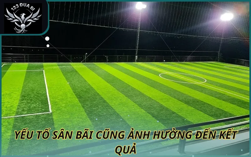 Hình ảnh Yếu tố sân bãi cũng ảnh hưởng đến kết quả